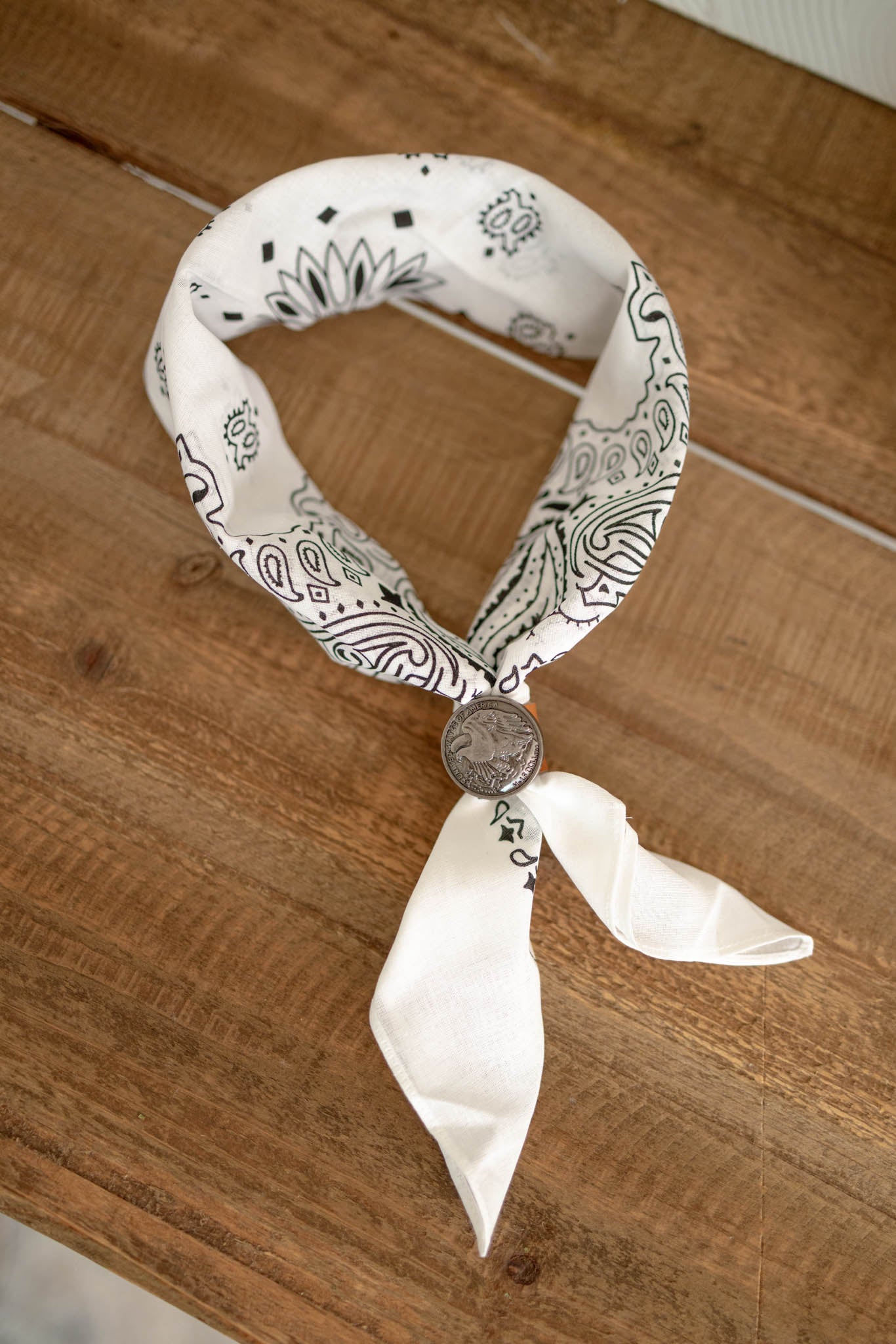 Scarf w/ Buckle