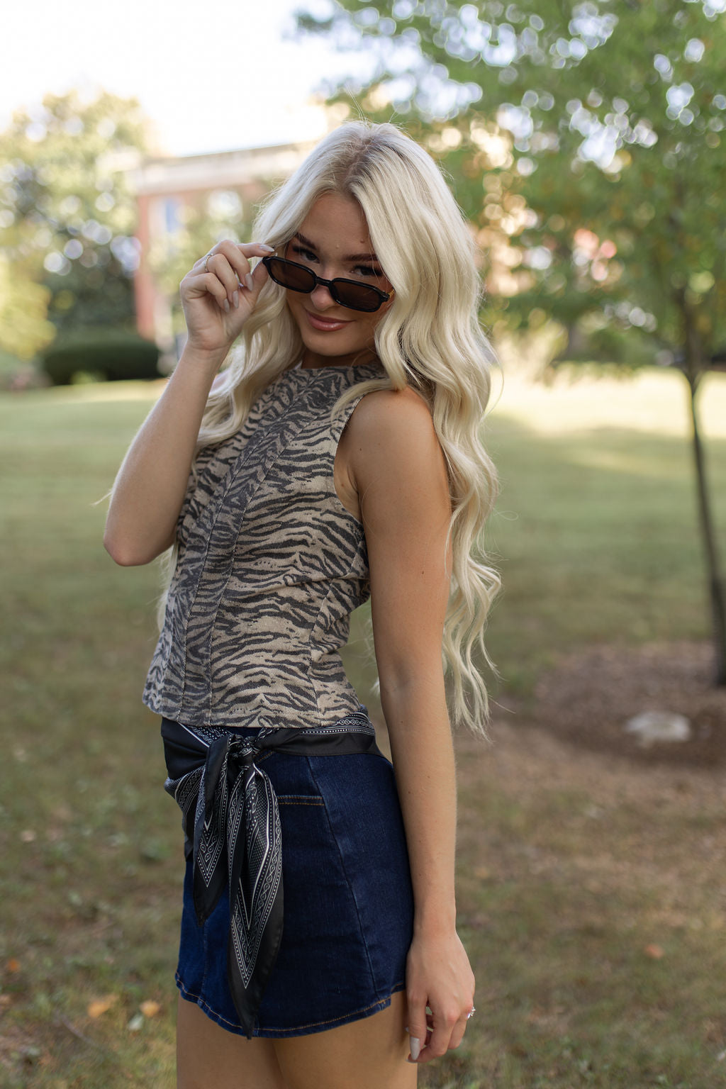 Zebra Panel Top