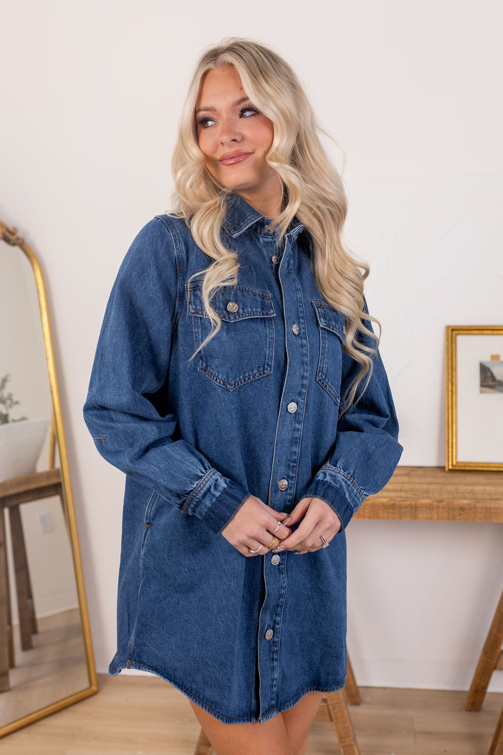 Shiloh Denim Dress