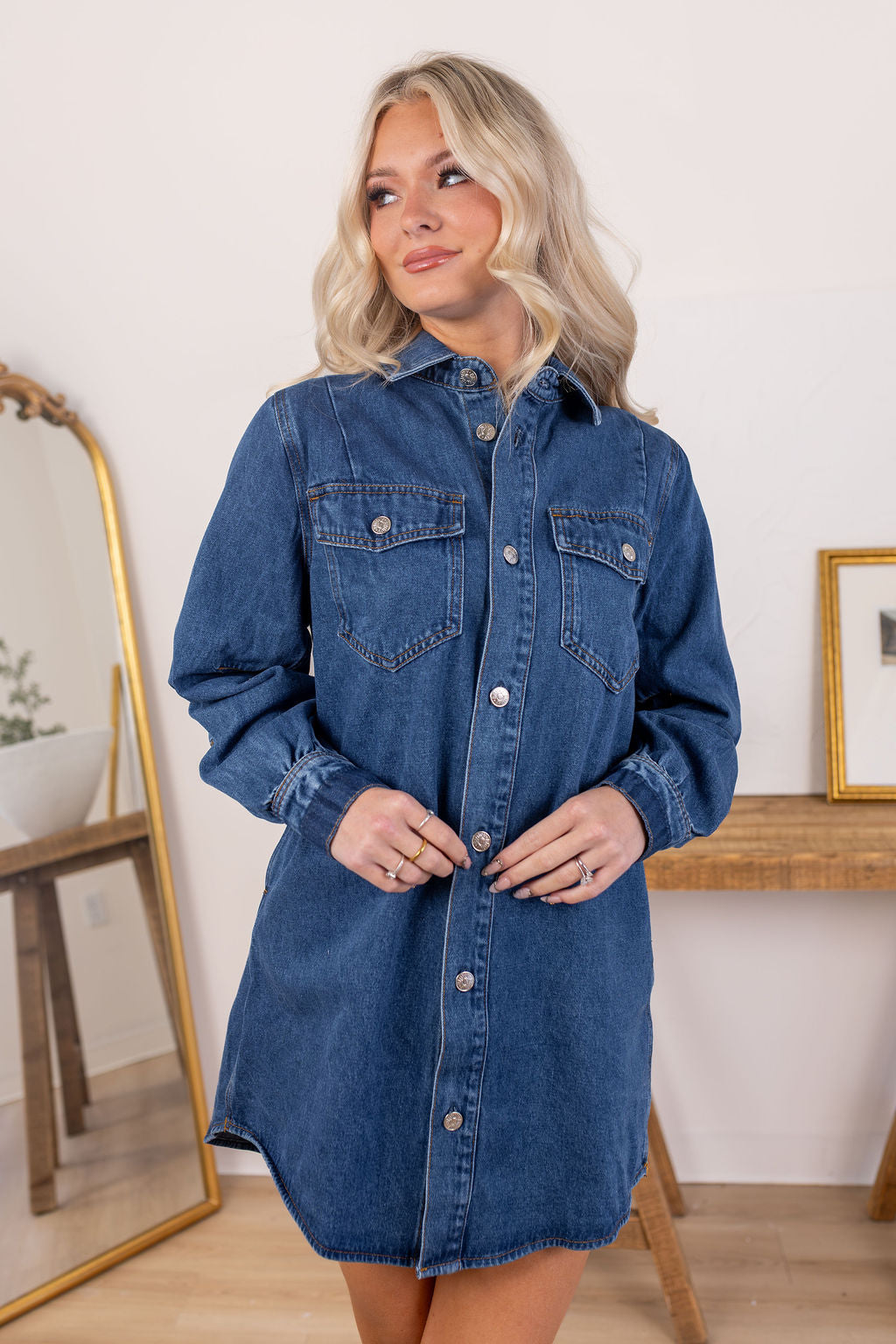 Shiloh Denim Dress