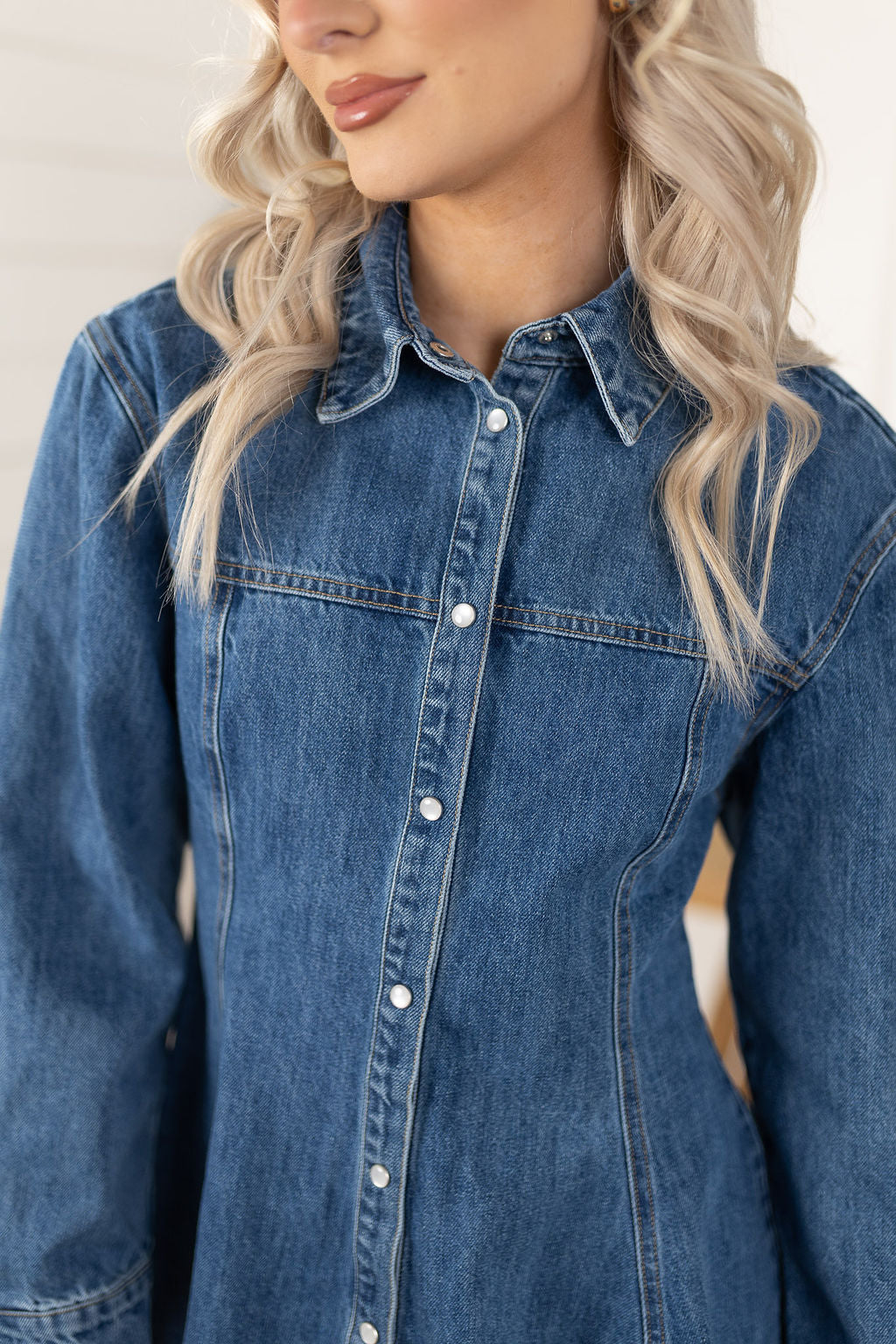 Angelina Denim Dress
