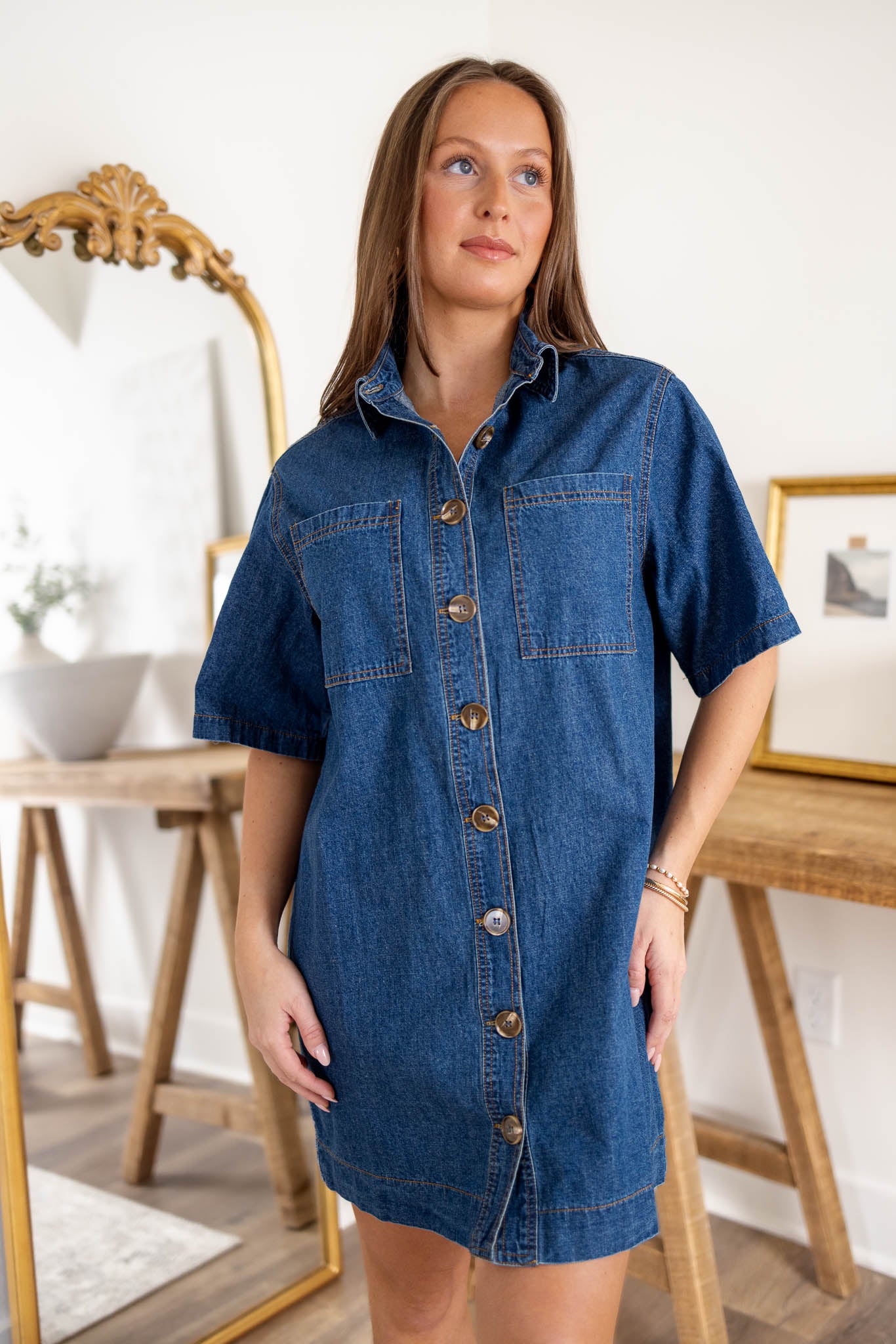 Ainsley Denim Dress