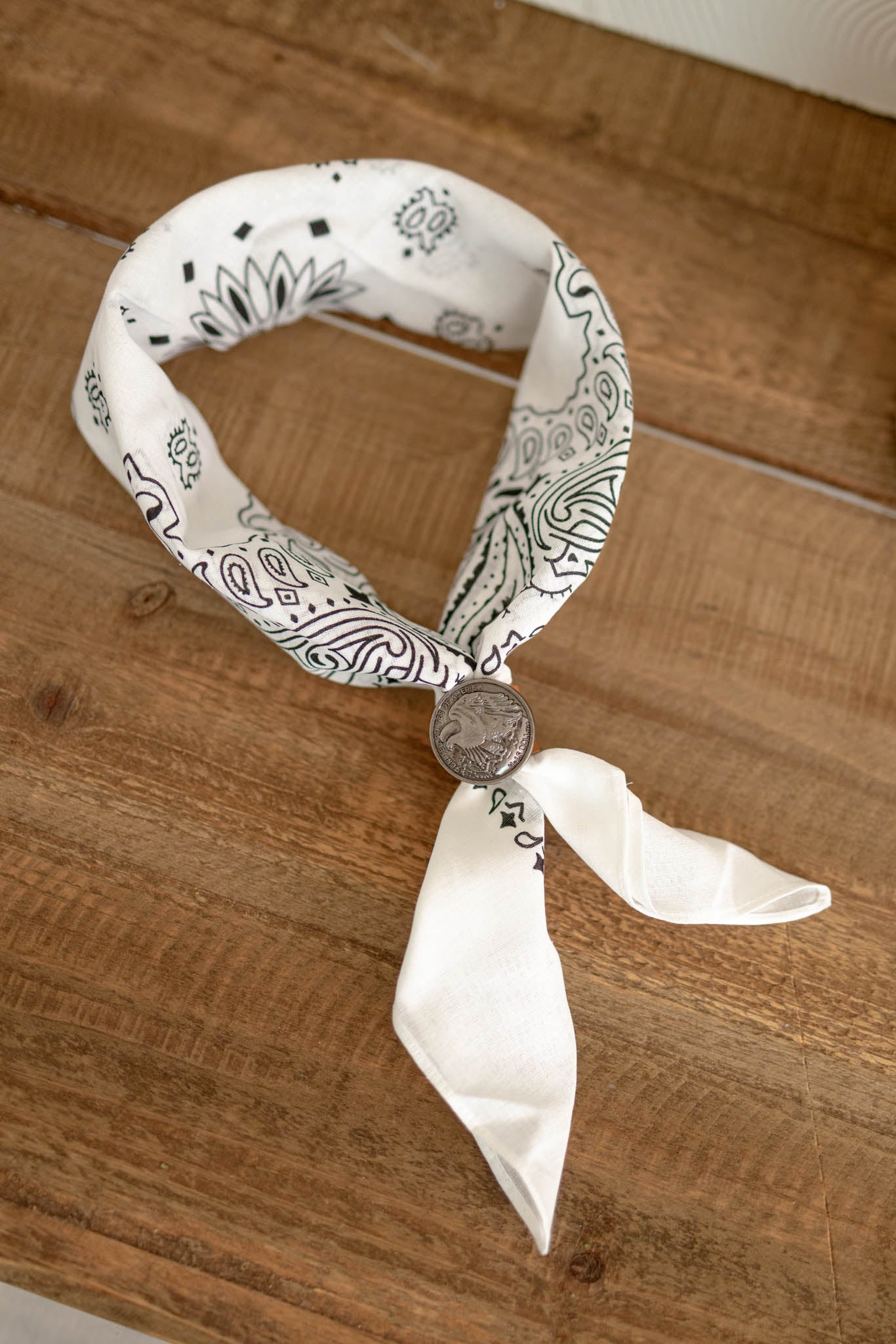 Scarf w/ Buckle