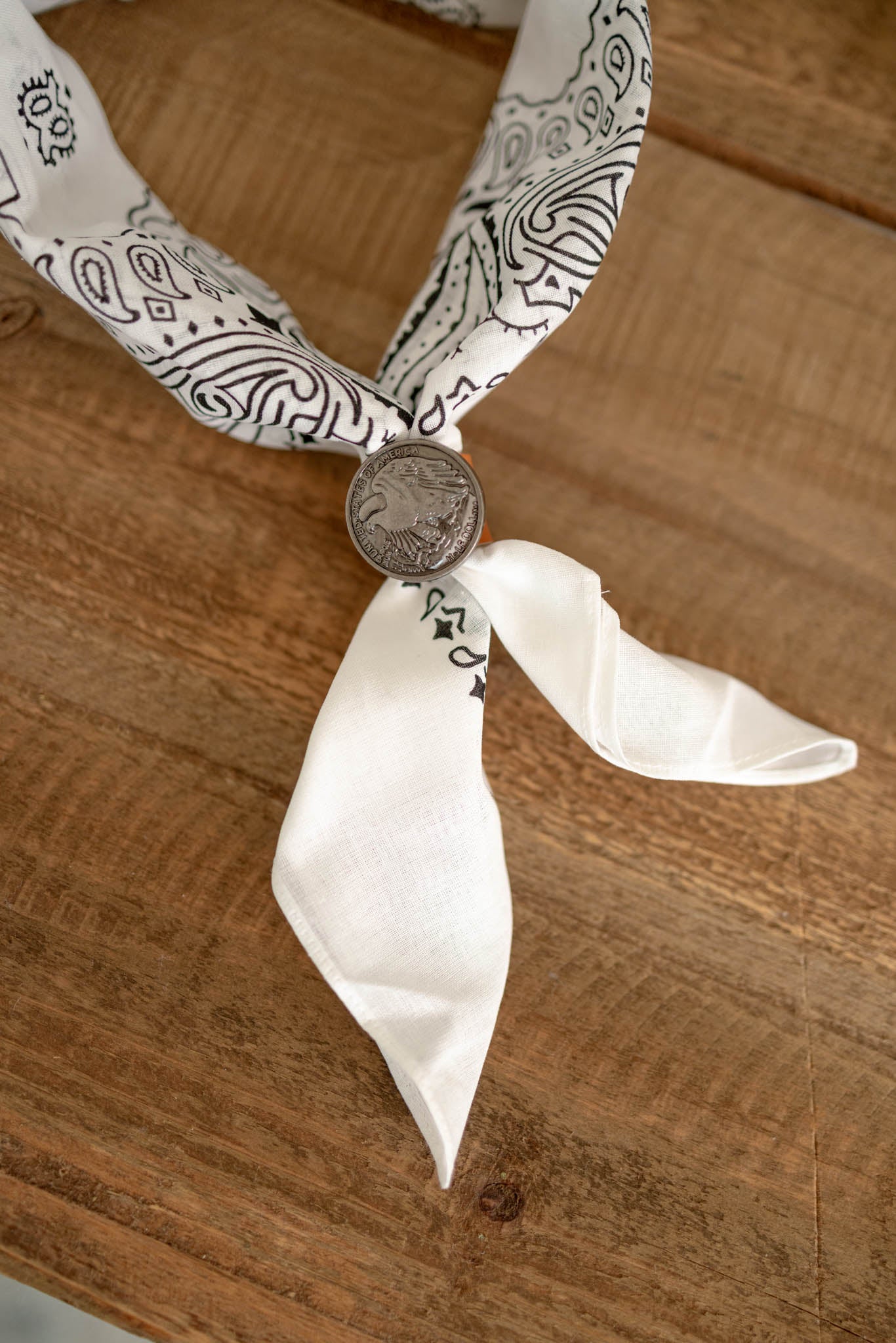 Scarf w/ Buckle